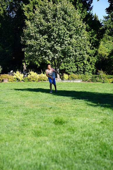 a9-115 ILCE-9 FE 24-70mm F2.8 GM 70 mm 1-1250 sec at f - 3.2 ISO 160_