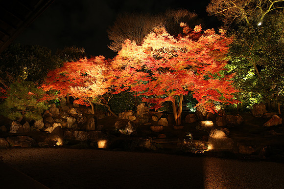 Asia 2012-1124