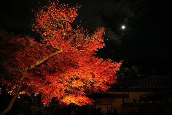 Asia 2012-1152