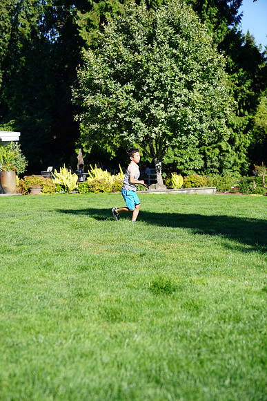 a9-123 ILCE-9 FE 24-70mm F2.8 GM 70 mm 1-1250 sec at f - 3.2 ISO 160_