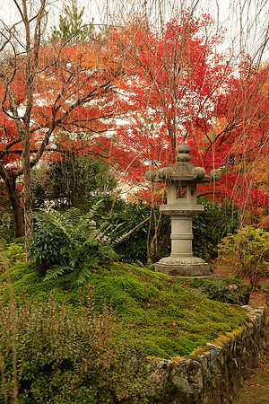 Asia 2012-1402