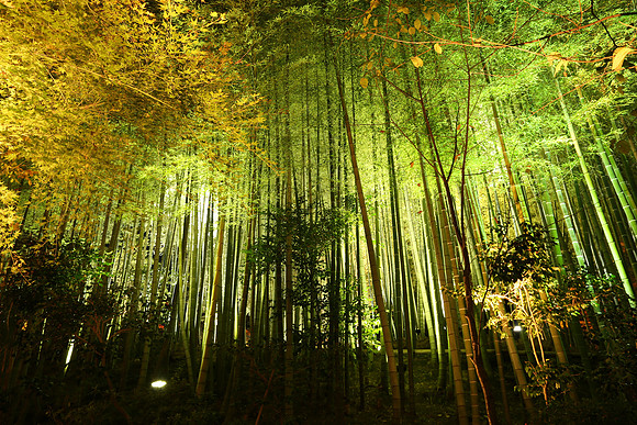 Asia 2012-1204