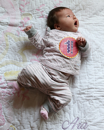 Ara1stMonth-209