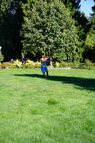 a9-118 ILCE-9 FE 24-70mm F2.8 GM 70 mm 1-1250 sec at f - 3.2 ISO 160_
