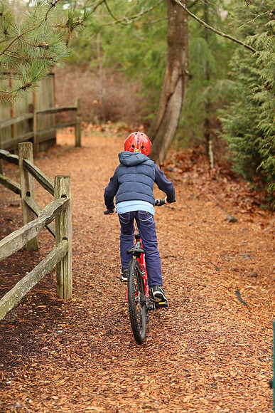 Canon-26 Canon EOS-1D X Mark II EF85mm f-1.4L IS USM 85 mm 1-640 sec at f - 2.8 ISO 640_