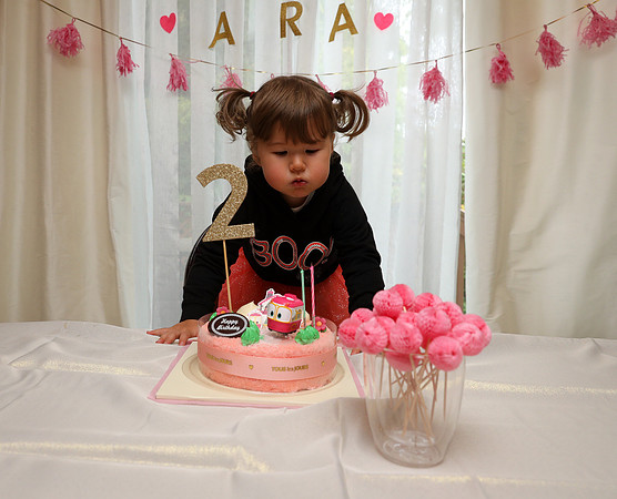 Ara 2nd Birthday Party-38