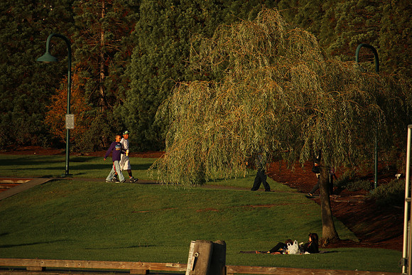 70D-107_ISO 100_1-500 sec at f - 5.6_EF-S55-250mm f-4-5.6 IS STM at 250 mm