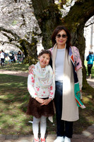 UW Cherry Blossoms 2023-14