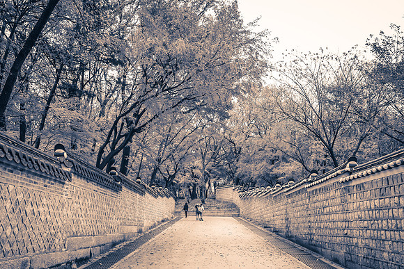 Asia 2012-359-Endless Portrait