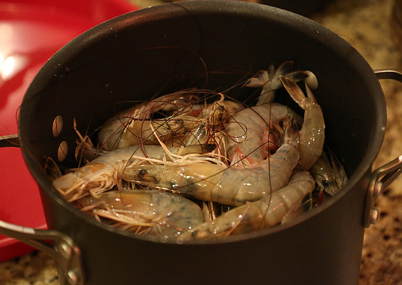 New Orleans 2013-29