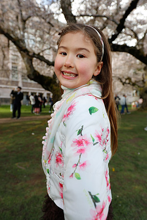 UW Cherry Blossoms 2023-248