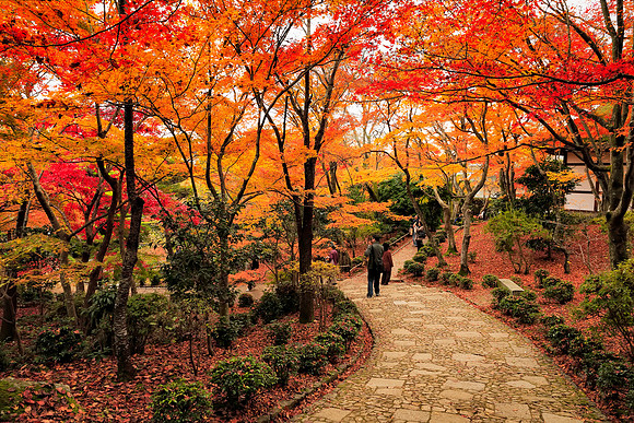 Asia 2012-1683-Edit