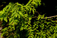DSC07169