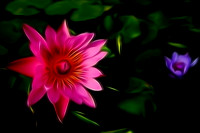 Brilliant On Black III with more Brightness
