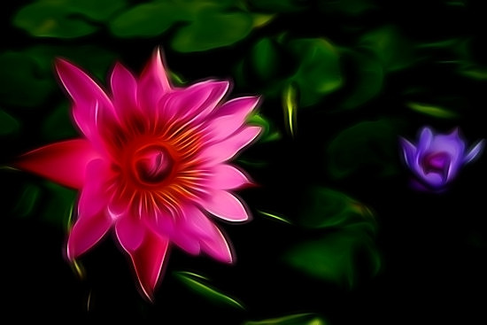 Brilliant On Black III with more Brightness
