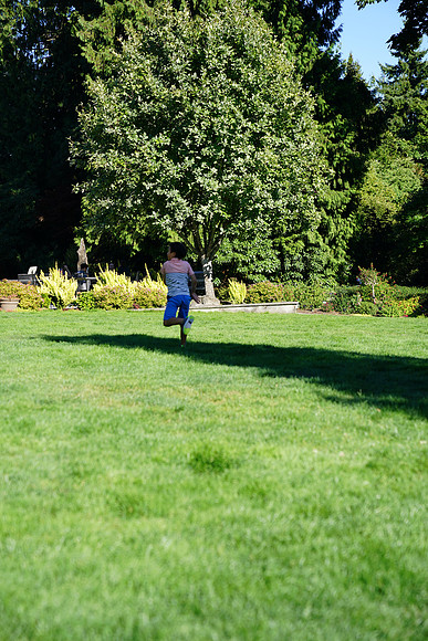 a9-106 ILCE-9 FE 24-70mm F2.8 GM 70 mm 1-1250 sec at f - 3.2 ISO 160_