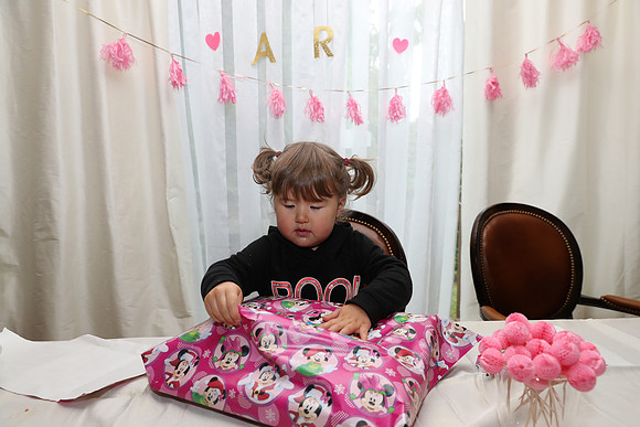 Ara 2nd Birthday Party-114