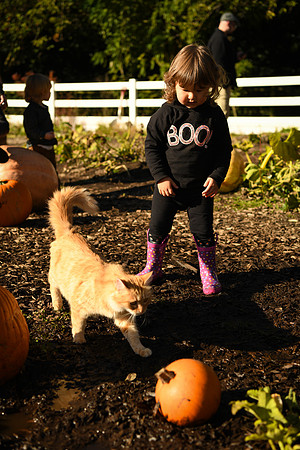 D850 Fall-676