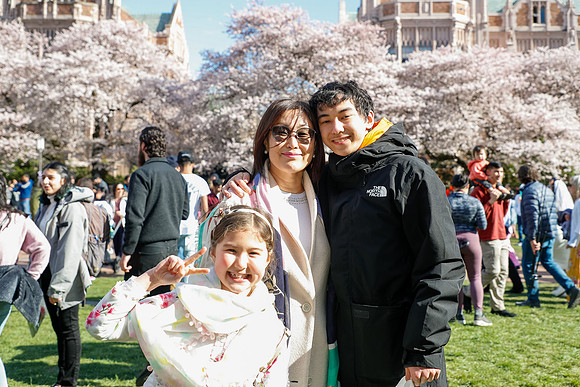 UW Cherry Blossoms 2023-10