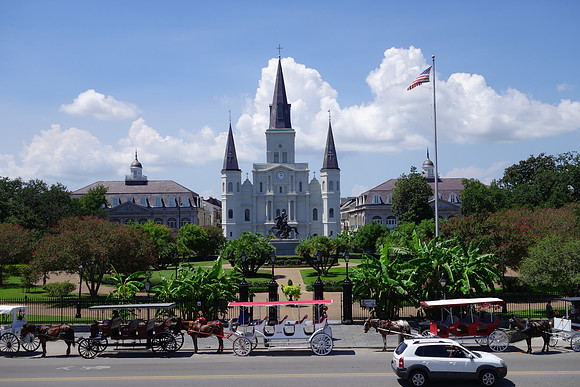 Sony NOLA 2013-178