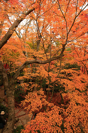 Asia 2012-1666