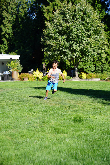 a9-143 ILCE-9 FE 24-70mm F2.8 GM 70 mm 1-1250 sec at f - 3.2 ISO 160_