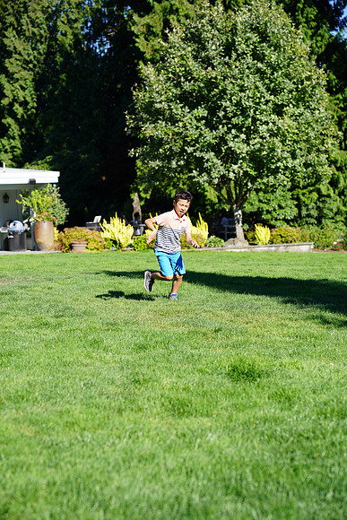a9-137 ILCE-9 FE 24-70mm F2.8 GM 70 mm 1-1250 sec at f - 3.2 ISO 160_