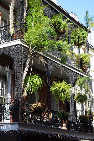 Sony NOLA 2013-247