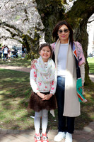 UW Cherry Blossoms 2023-16