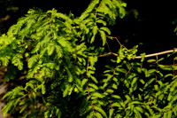 DSC07165