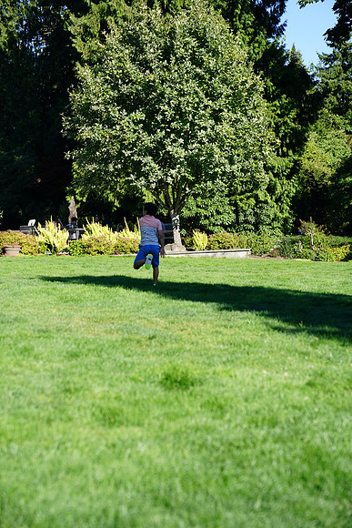 a9-105 ILCE-9 FE 24-70mm F2.8 GM 70 mm 1-1250 sec at f - 3.2 ISO 160_