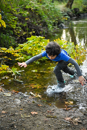 D850 Fall-960