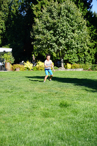 a9-128 ILCE-9 FE 24-70mm F2.8 GM 70 mm 1-1250 sec at f - 3.2 ISO 160_