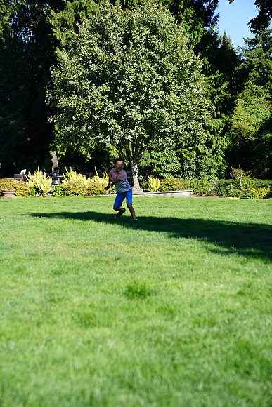 a9-110 ILCE-9 FE 24-70mm F2.8 GM 70 mm 1-1250 sec at f - 3.2 ISO 160_