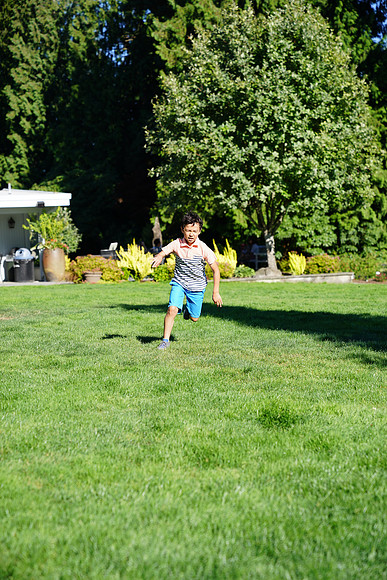 a9-141 ILCE-9 FE 24-70mm F2.8 GM 70 mm 1-1250 sec at f - 3.2 ISO 160_