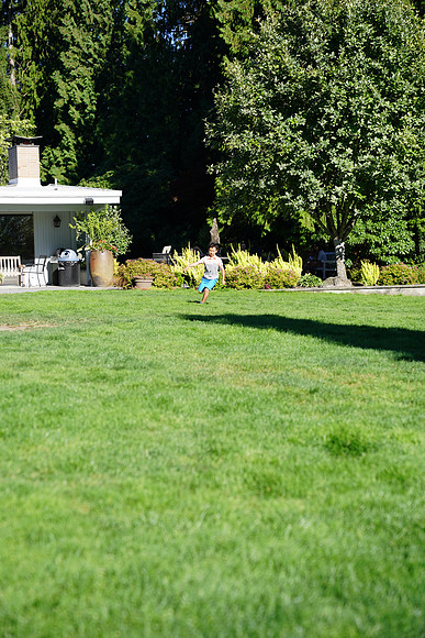 a9-48 ILCE-9 FE 24-70mm F2.8 GM 70 mm 1-1250 sec at f - 3.2 ISO 160_