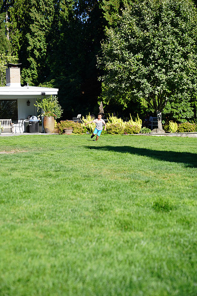 a9-49 ILCE-9 FE 24-70mm F2.8 GM 70 mm 1-1250 sec at f - 3.2 ISO 160_