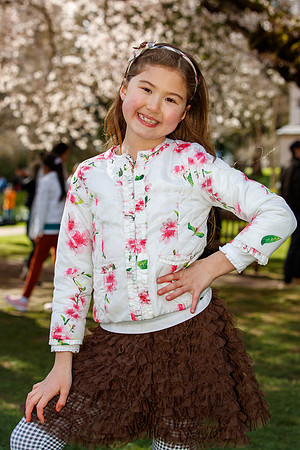 UW Cherry Blossoms 2023-185