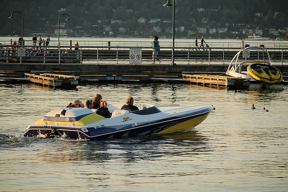 70D-145_ISO 100_1-200 sec at f - 5.0_EF-S55-250mm f-4-5.6 IS STM at 135 mm