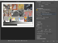 Fibre_Win10_EpsonPhotoshop