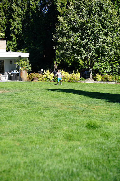 a9-33 ILCE-9 FE 24-70mm F2.8 GM 70 mm 1-1250 sec at f - 3.2 ISO 160_