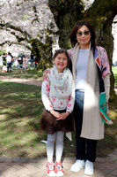 UW Cherry Blossoms 2023-18