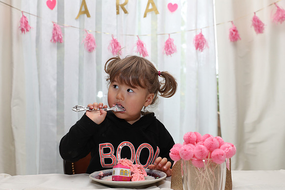 Ara 2nd Birthday Party-80