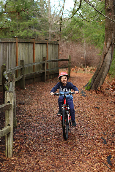 Canon-216 Canon EOS-1D X Mark II EF85mm f-1.4L IS USM 85 mm 1-640 sec at f - 2.8 ISO 500_