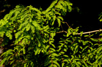 DSC07179