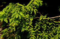 DSC07163