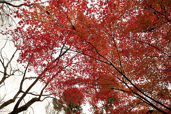Asia 2012-1404