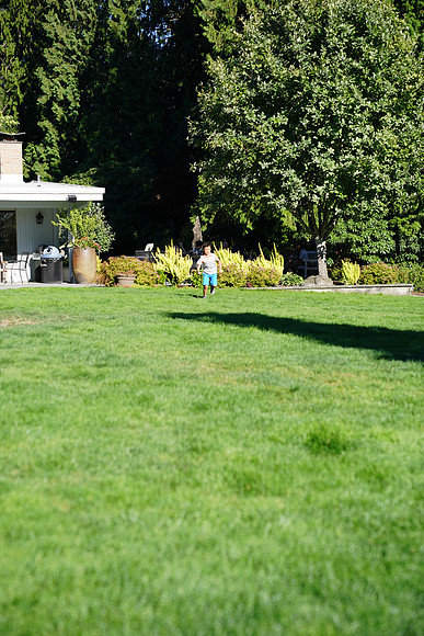 a9-32 ILCE-9 FE 24-70mm F2.8 GM 70 mm 1-1250 sec at f - 3.2 ISO 160_