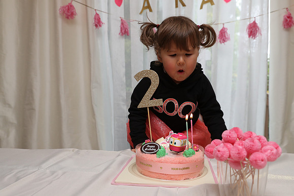 Ara 2nd Birthday Party-52