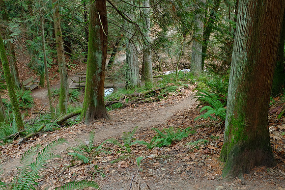 XE2NR-2-130_ISO 200_6.5 sec at f - 11_XF18-55mmF2.8-4 R LM OIS at 25.4 mm